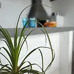 Βίλα Macher Piscina Y Bar Piscina *