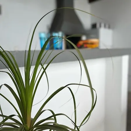 Βίλα Macher Piscina Y Bar Piscina *