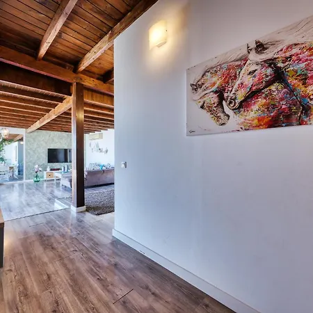 Macher Piscina Y Bar Piscina Tías