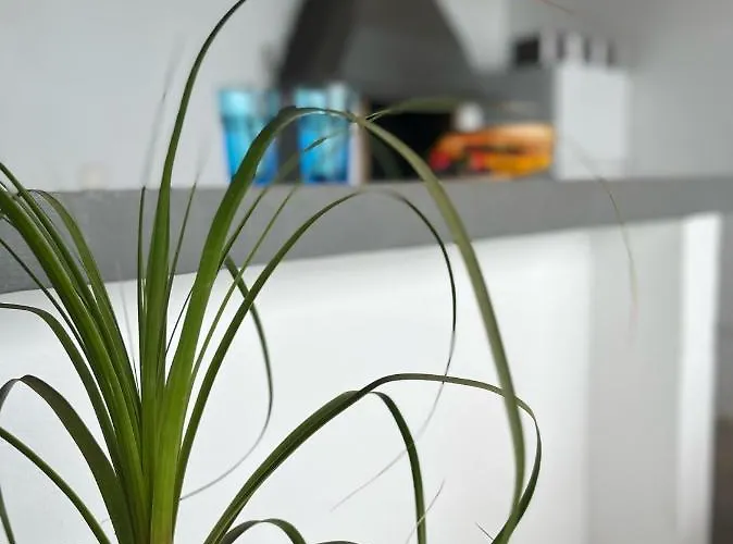 Willa Macher Piscina Y Bar Piscina *